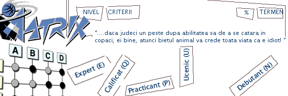 Q-Matrix si parabola lui Einstein