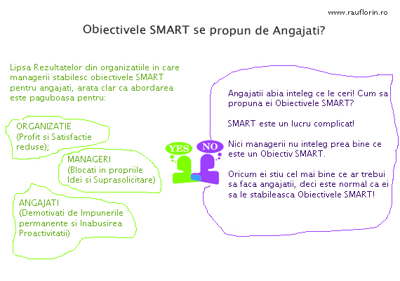 Obiective Smart Exemplu Practic Ghid De Teorie Si Practica In Resurse Umane