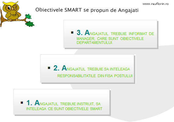 Exemple de Obiective SMART pe intelesul tau - Ghid de ...