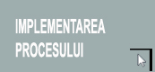 Implementarea-procesului