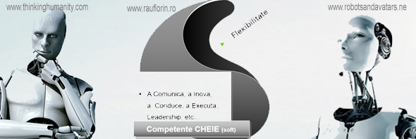 Test de Evaluare a Performantei – Competente Cheie